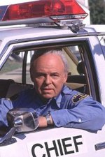 Watch In the Heat of the Night online free.