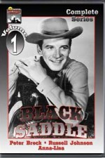 Black Saddle poster