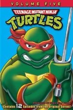 Watch Teenage Mutant Ninja Turtles online free.