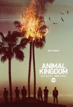 Watch Animal Kingdom online free. Animal Kingdom poster