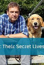 Watch Dogs: Their Secret Lives online free.